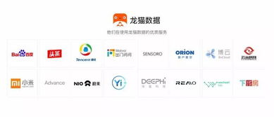 龙猫数据获3370万元A轮融资 深耕AI数据服务，布局一站式解决方案